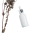 zblizenie-butelek-bialego-wina-na-stole-Photoroom.png